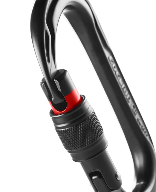 Oval Power 2500 Screw