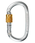 Steel Oval Screw