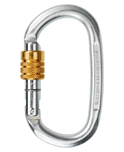 Steel Oval Screw