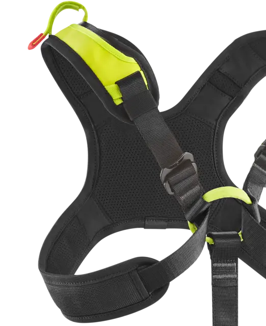 Vector Chest X + Vector Hip
