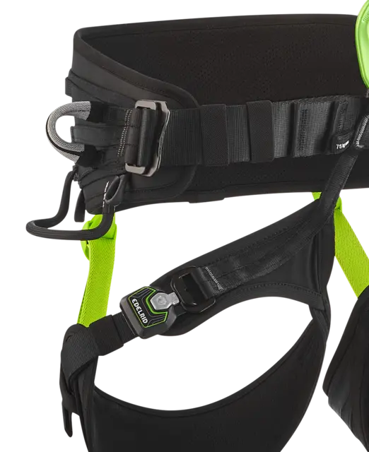 Vector Chest Y + Vector Hip
