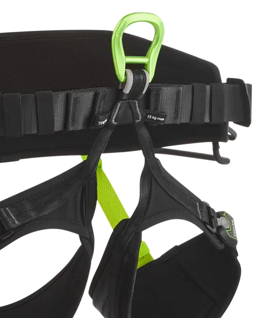 Vector Chest Y + Vector Hip