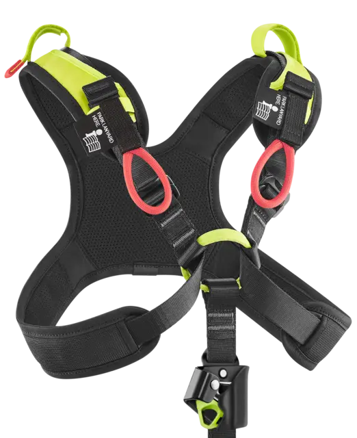 Vector X